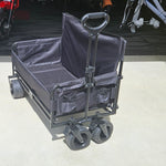 ~Xmas ideas -Cart "n" Couch folds down for kids seating
