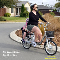 e-bike electric bike bike for 2 