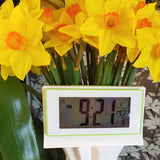 digital world time alarm clock with light